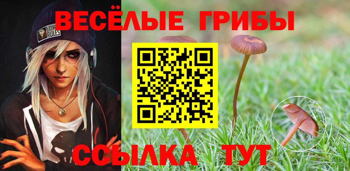 Галлюциногенные грибы прущие грибы  Галлюциногенные грибы Psilocybine cubensis  Вход с VPN  Железноводск 